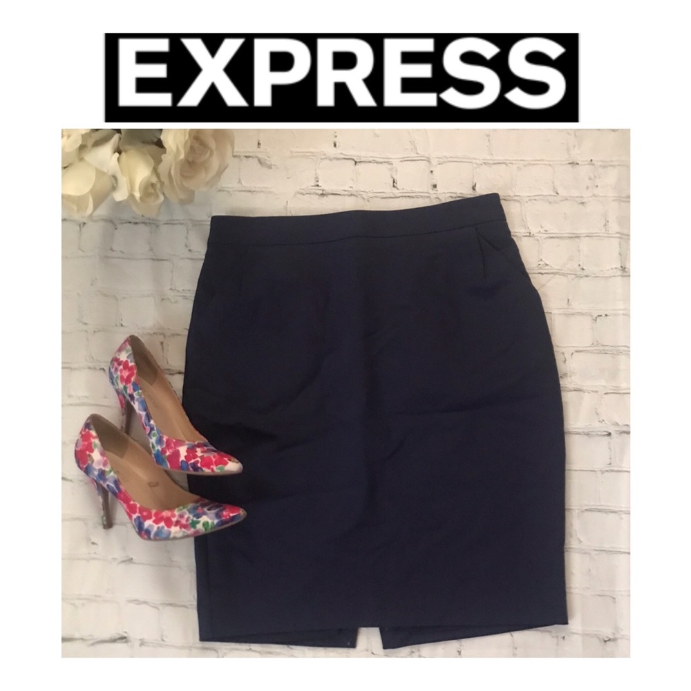 Express Women's Navy Skirt